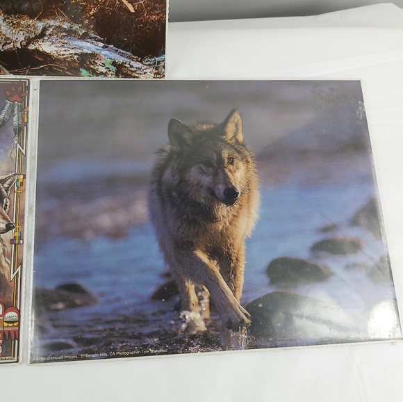 - Bruce lakofka, Tom Bakefield posters wolf panther 8x10 3 prints lot - Picture 14 of 14